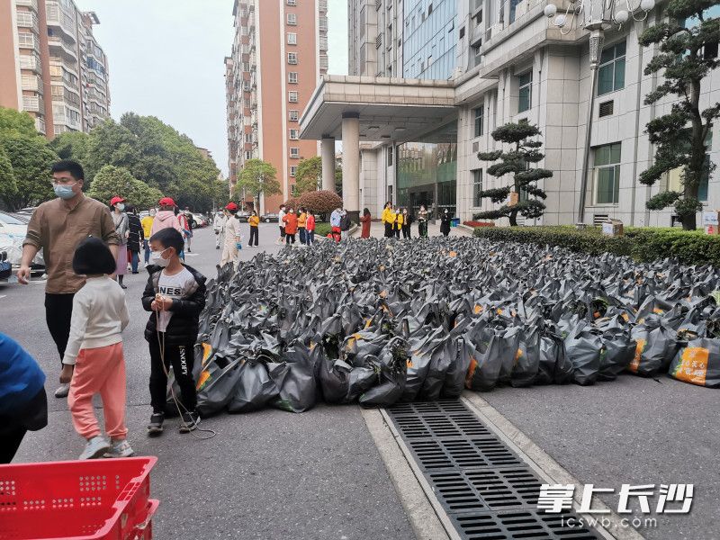 780份蔬菜包送到了湘林小區(qū)院內(nèi)。長(zhǎng)沙晚報(bào)實(shí)習(xí)生 羅楊 攝